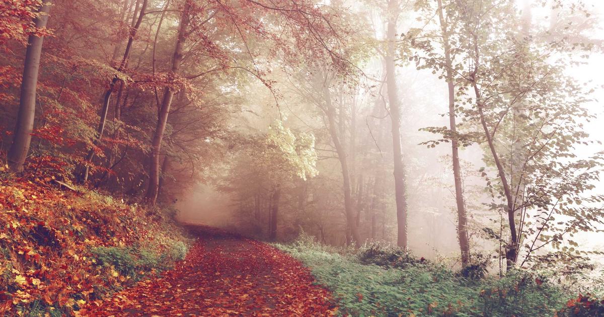 Sample Post 2465: A fast site ranks better, converts bette
